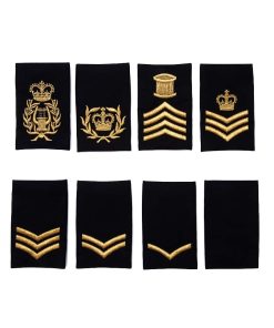 Alternative view of Blank Black Rank Slides (Pair)